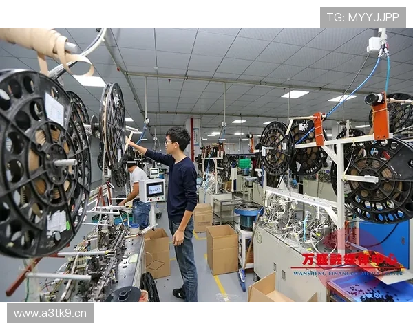 桥头企业家引领地方经济转型与创新发展之路